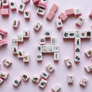 The Cat’s Meow American Mahjong Set with themed layered acrylic tiles