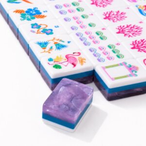 Purple Coastal Coral American Mahjong Set,French Riviera Inspired American Mahjong Set - 4