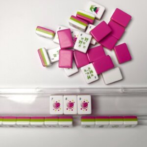 Amenican Mahjong Set, Cute Mahjong Tiles Set, Handmade Collector Luxury Mahjong, Gift for Friends - 9