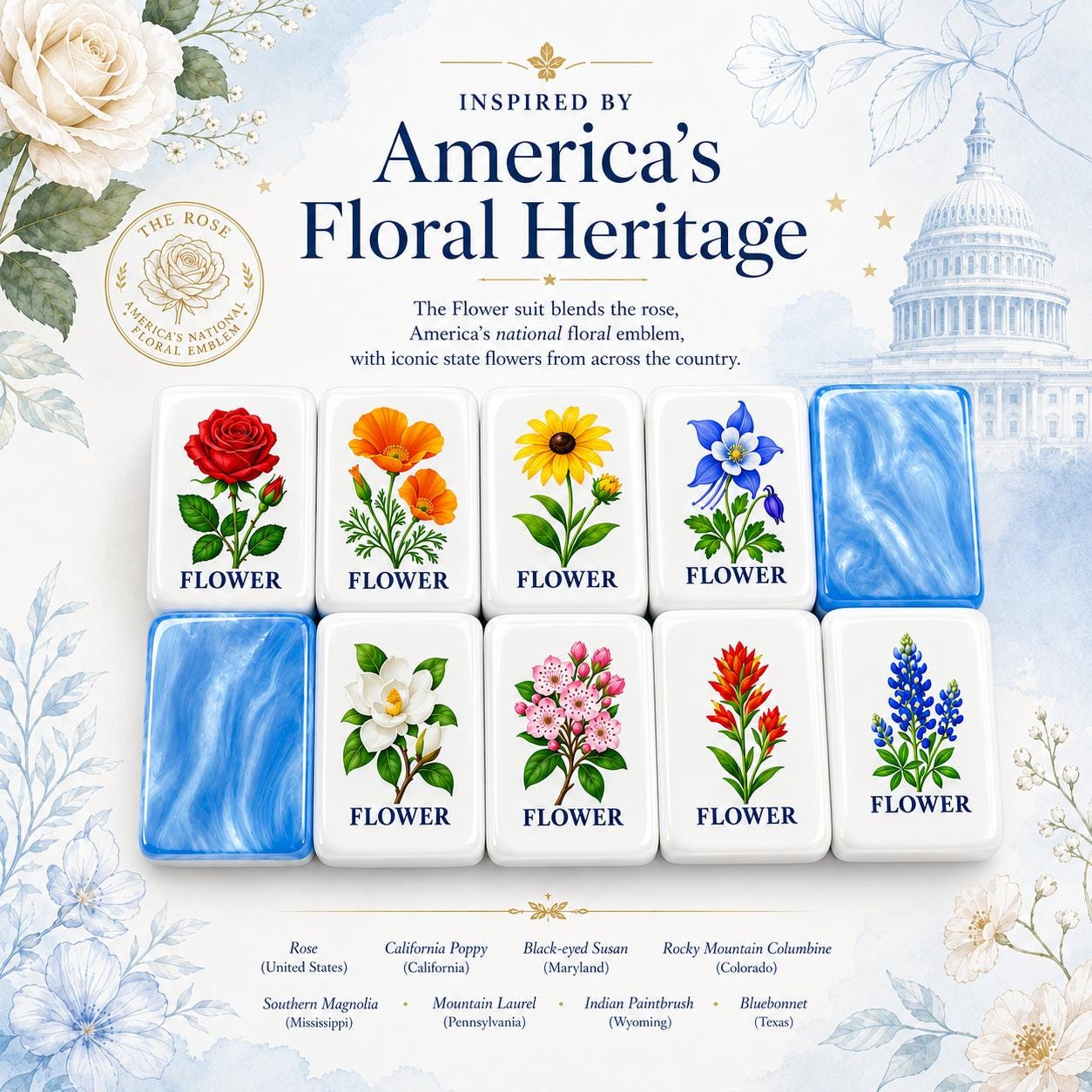 American Mahjong Set, Birthday Gift for Wife Mom or Grandma, Mahjong Lover Gift, National Parks Acrylic Tiles - 5